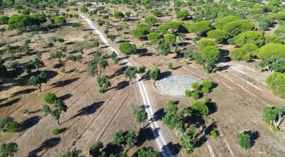 Terrain à Montargil de 770 000 m²