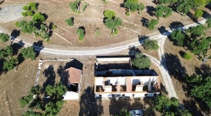 Terrain à Montargil de 770 000 m²