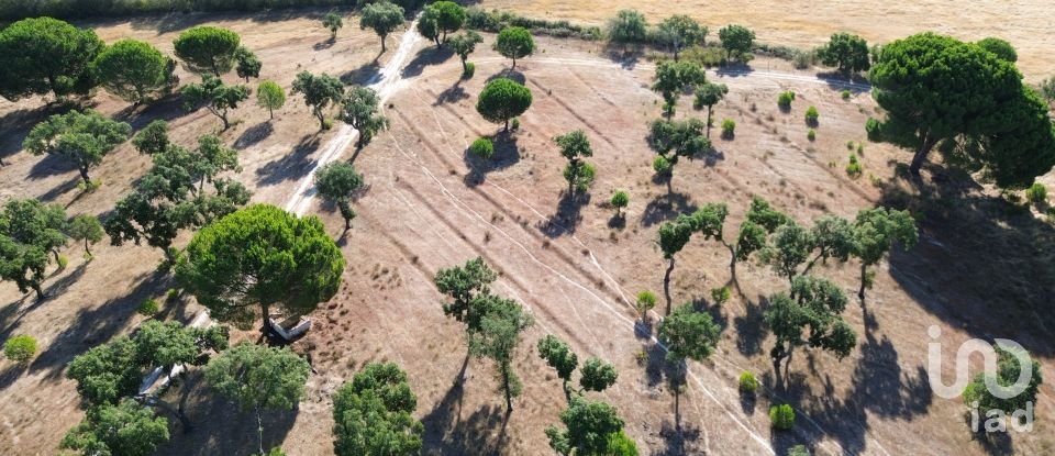 Land in Montargil of 770,000 m²