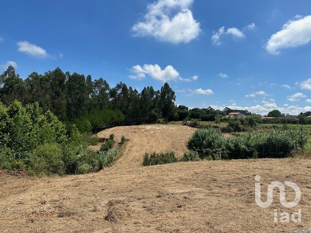 Terrain à Souto da Carpalhosa e Ortigosa de 3 900 m²