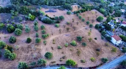 Terrain agricole à Santa Bárbara de Nexe de 14 400 m²