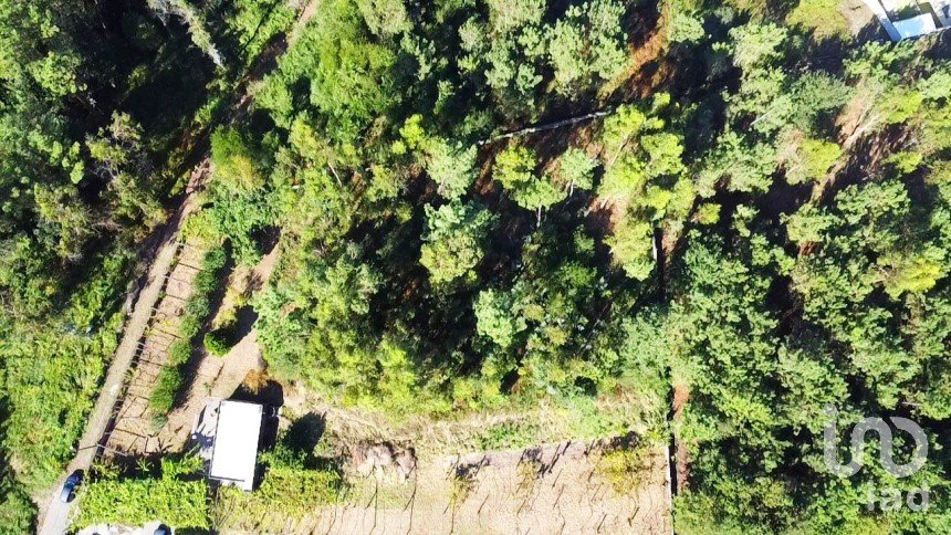 Building plot in Forjães of 2,351 m²