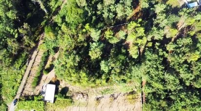 Terrain à bâtir à Forjães de 2 351 m²