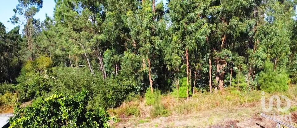 Building plot in Forjães of 2,351 m²