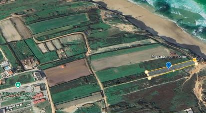 Terreno em Ferrel de 13 640 m²