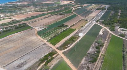 Terreno em Ferrel de 13 640 m²