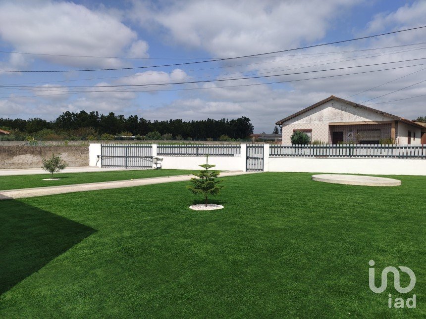 Mansion T3 in Bustos, Troviscal e Mamarrosa of 240 m²