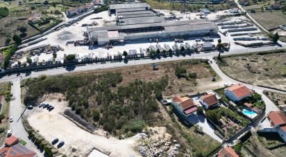 Building plot in São Pedro de Agostém of 12,260 m²