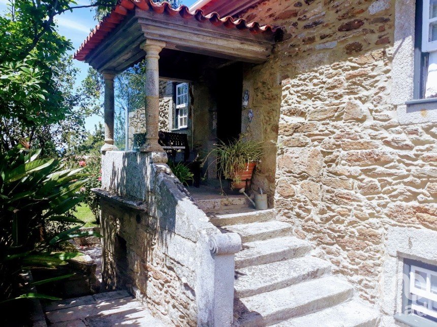 Ferme T8 à Seixas de 10 000 m²