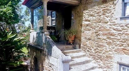 Ferme T8 à Seixas de 10 000 m²