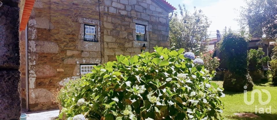 Ferme T8 à Seixas de 10 000 m²