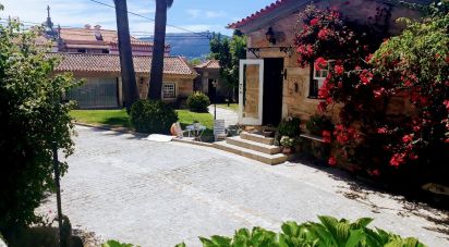 Ferme T8 à Seixas de 10 000 m²