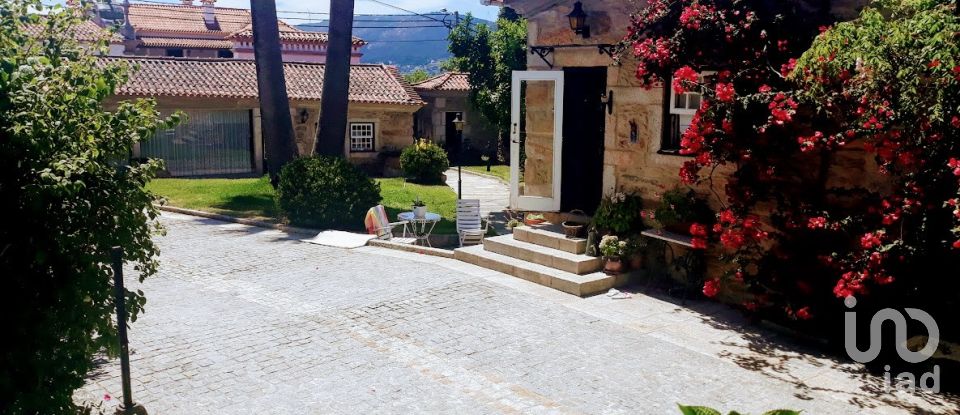 Ferme T8 à Seixas de 10 000 m²