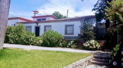 Ferme T8 à Seixas de 10 000 m²