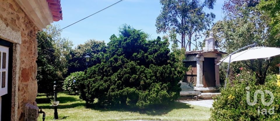 Ferme T8 à Seixas de 10 000 m²