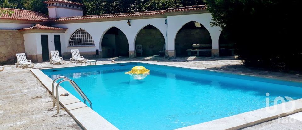 Ferme T8 à Seixas de 10 000 m²