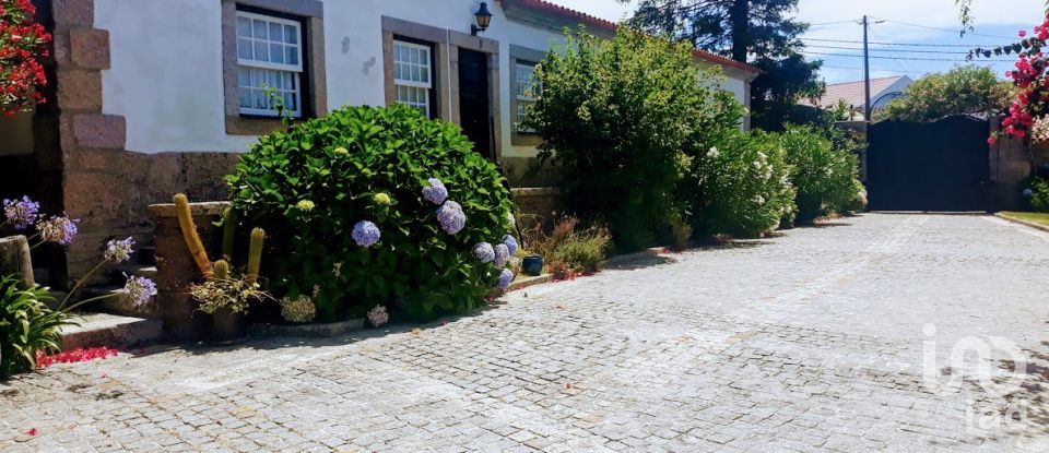 Ferme T8 à Seixas de 10 000 m²