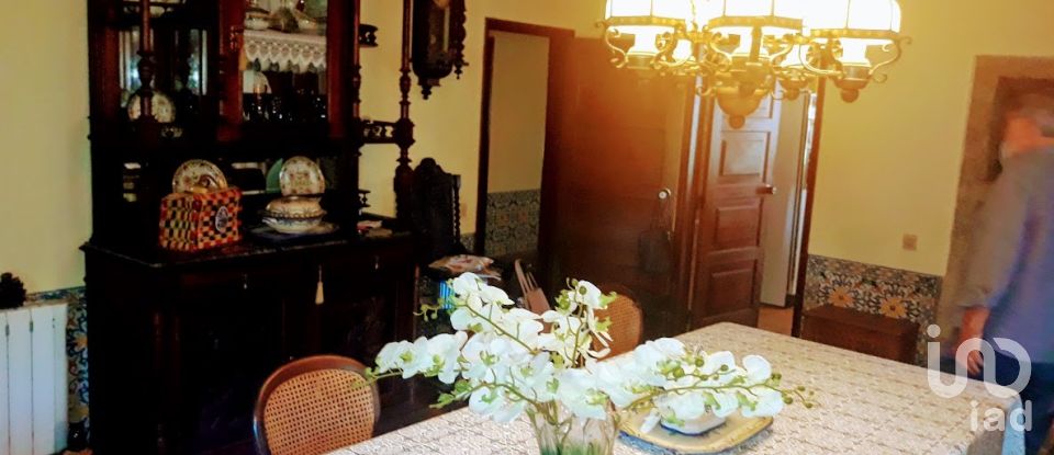 Ferme T8 à Seixas de 10 000 m²