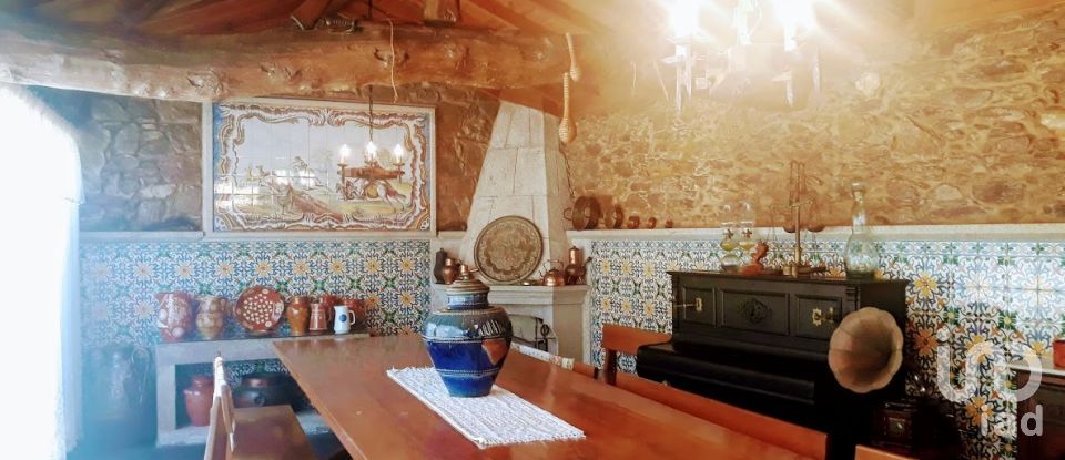 Ferme T8 à Seixas de 10 000 m²