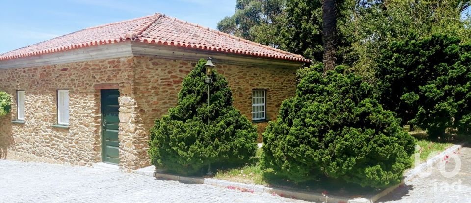 Ferme T8 à Seixas de 10 000 m²