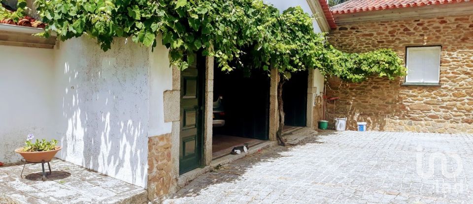 Ferme T8 à Seixas de 10 000 m²