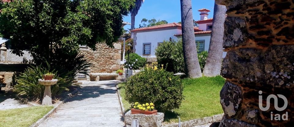 Ferme T8 à Seixas de 10 000 m²