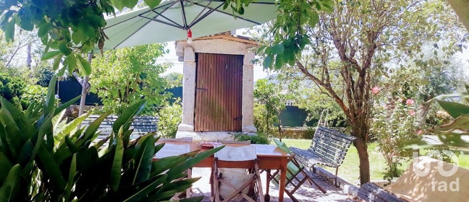 Ferme T8 à Seixas de 10 000 m²