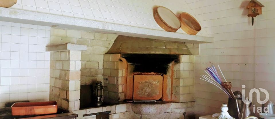 Ferme T8 à Seixas de 10 000 m²