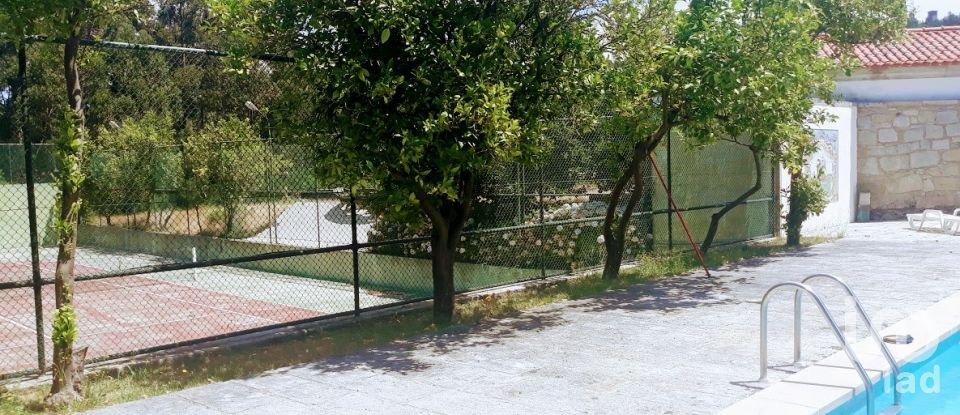 Ferme T8 à Seixas de 10 000 m²