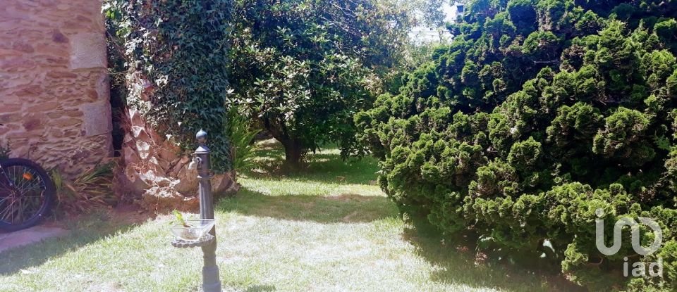 Ferme T8 à Seixas de 10 000 m²