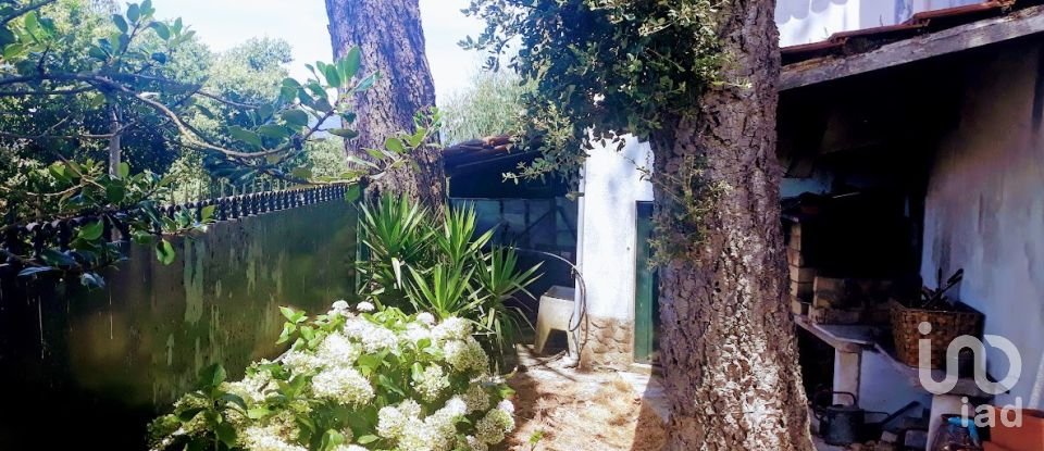 Ferme T8 à Seixas de 10 000 m²