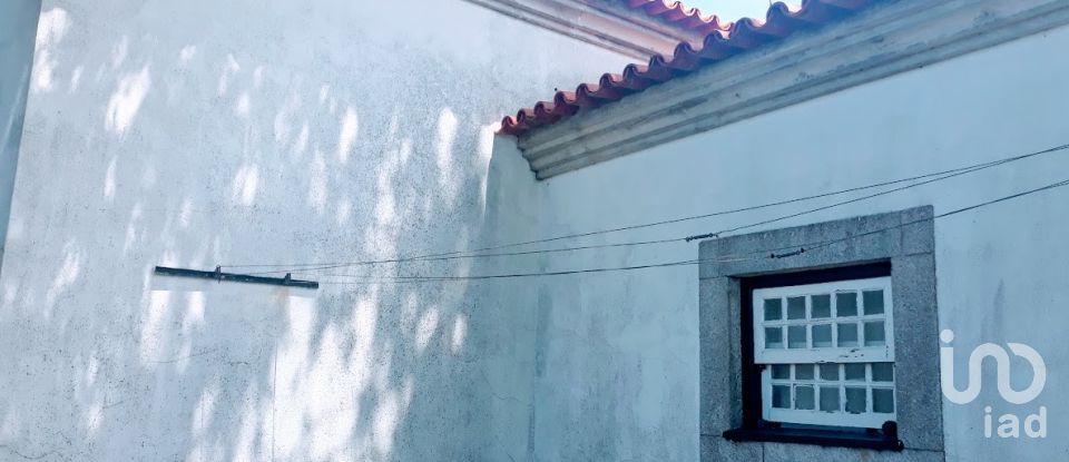 Ferme T8 à Seixas de 10 000 m²