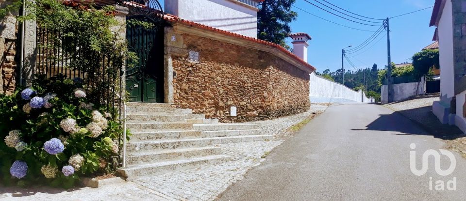 Ferme T8 à Seixas de 10 000 m²