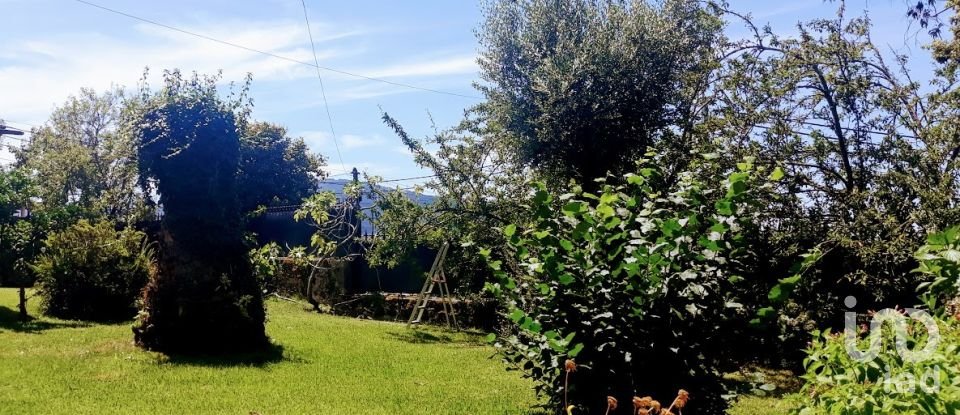 Ferme T8 à Seixas de 10 000 m²