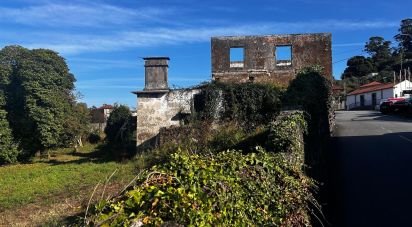 Ferme T0 à Durrães E Tregosa de 6 500 m²