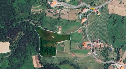 Farm land in Cendufe of 12,240 m²