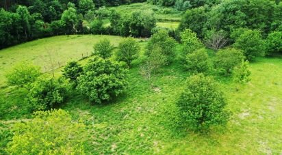Farm land in Cendufe of 12,240 m²