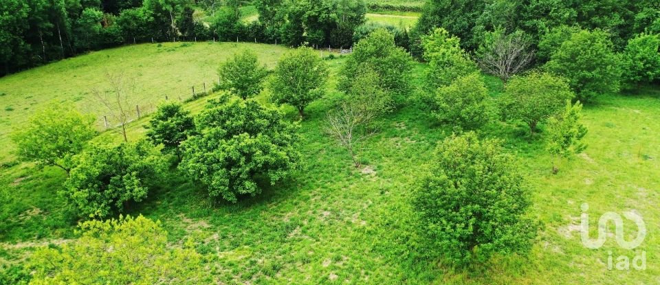 Farm land in Cendufe of 12,240 m²