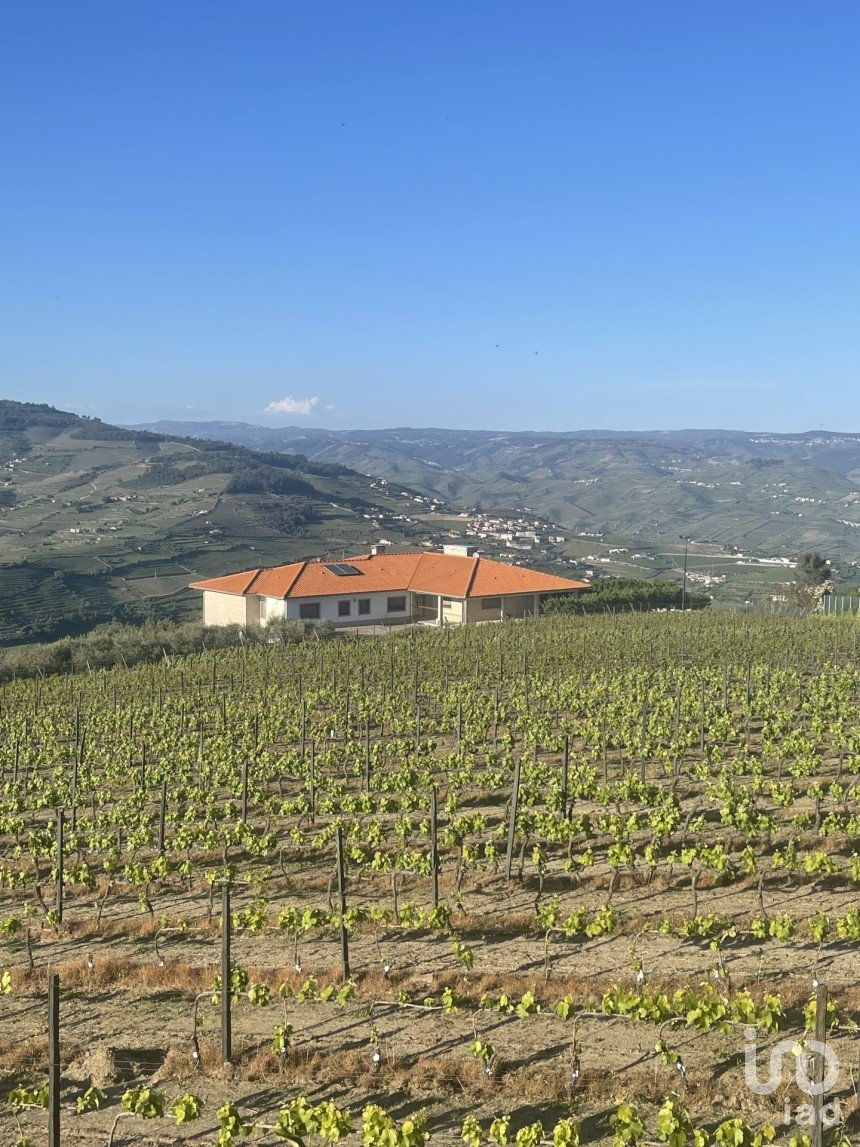 Ferme T6 à Penajóia de 305 m²