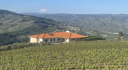 Ferme T6 à Penajóia de 305 m²