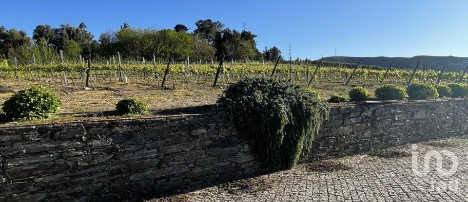 Ferme T6 à Penajóia de 305 m²