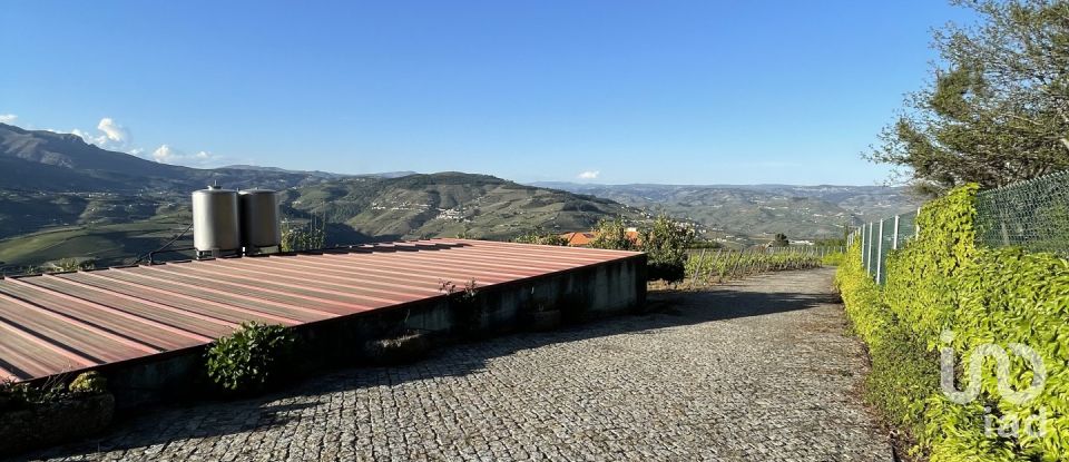 Ferme T6 à Penajóia de 305 m²