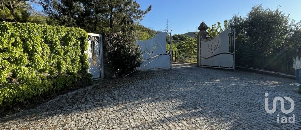 Ferme T6 à Penajóia de 305 m²