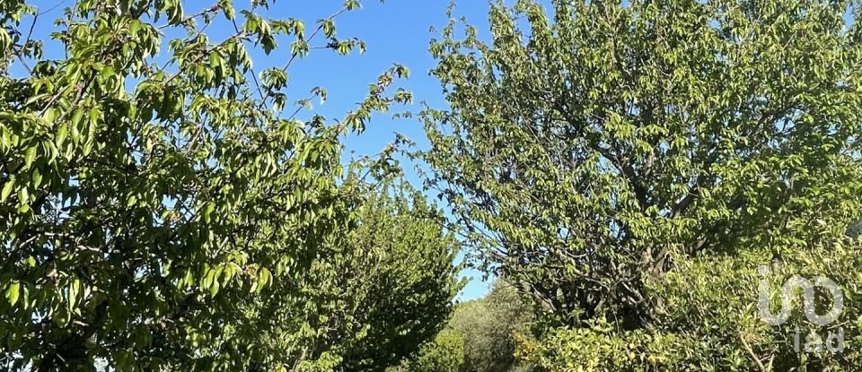 Ferme T6 à Penajóia de 305 m²