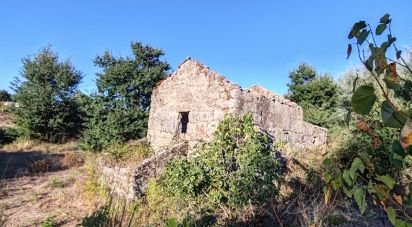 Terrain agricole à Seixo da Beira de 31 075 m²