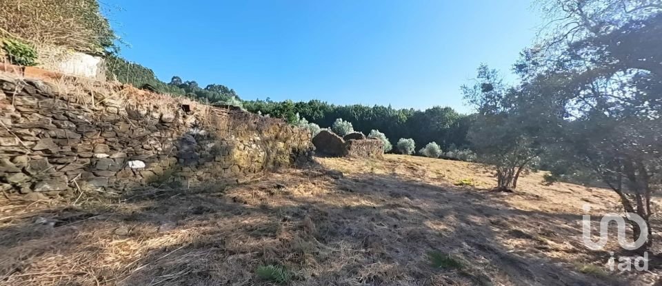 Moradia T3 em Carvalhal de 200 m²