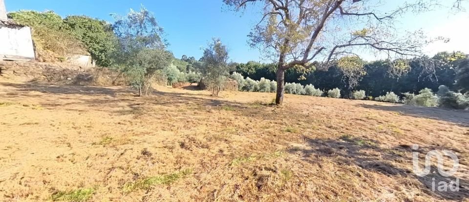 Moradia T3 em Carvalhal de 200 m²