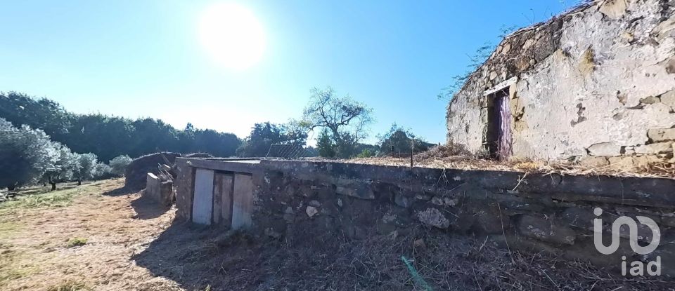 Moradia T3 em Carvalhal de 200 m²