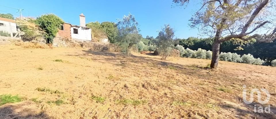 Moradia T3 em Carvalhal de 200 m²