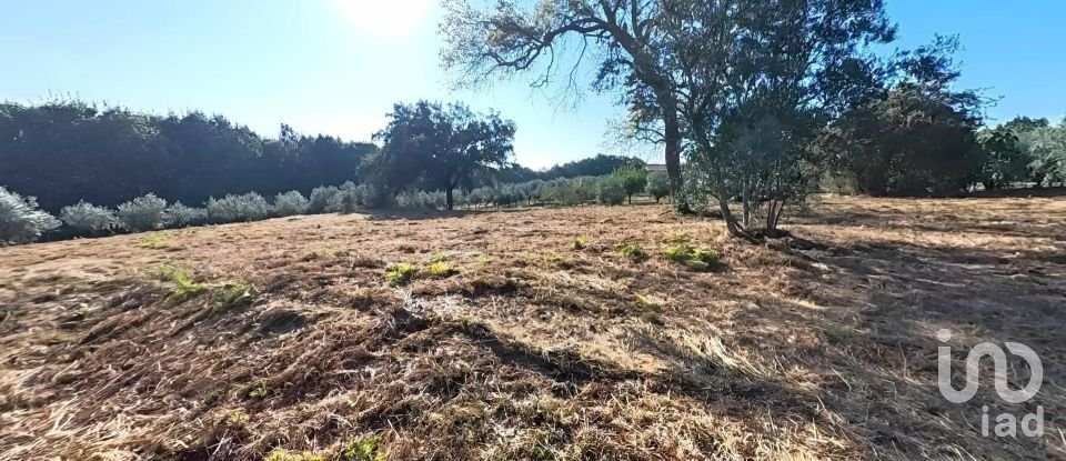 Moradia T3 em Carvalhal de 200 m²